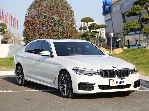 BMW 5 Series 2020