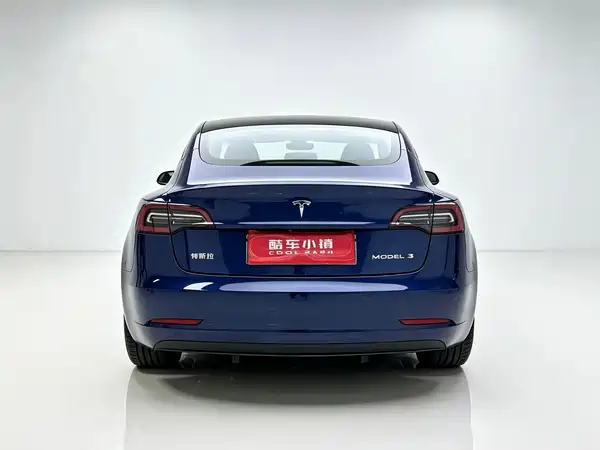 Tesla Model 3 2020