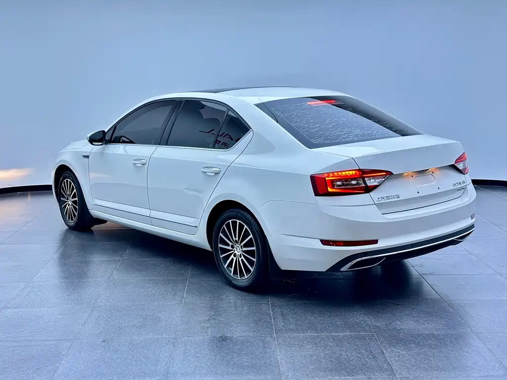 Skoda Octavia 2019 — фото 16