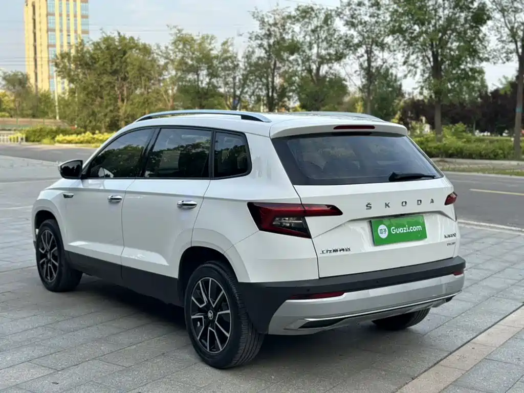 Skoda Karoq 2020 — фото 14