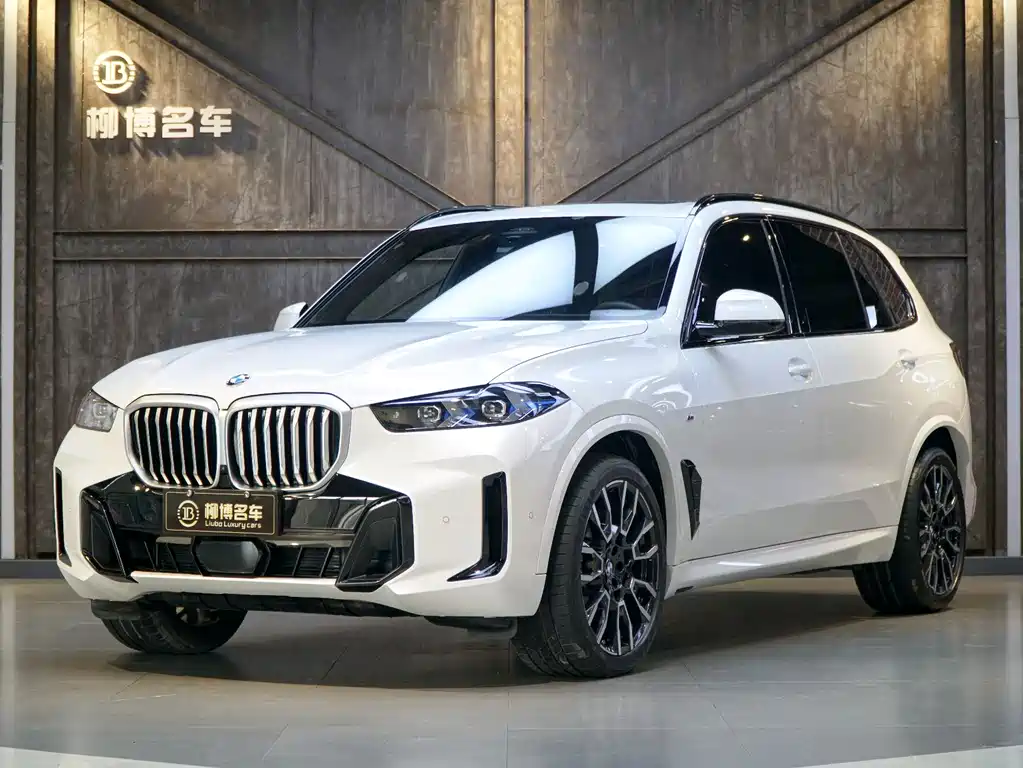 BMW X5 2024 — фото 1