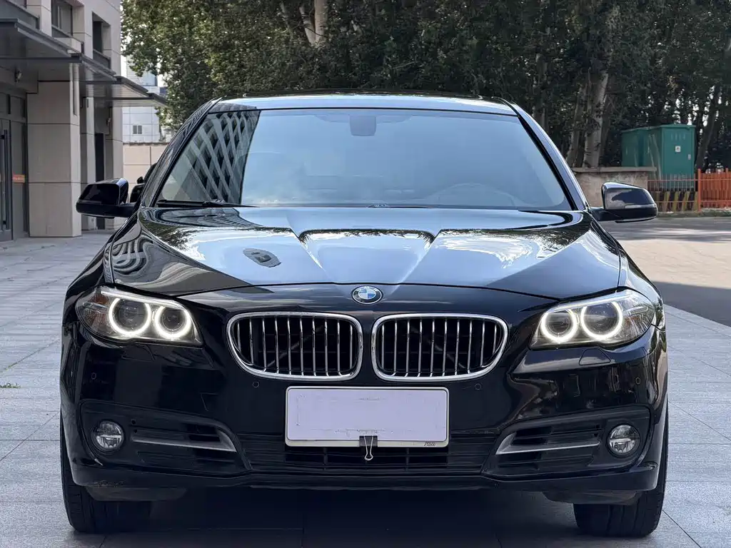 BMW 5 Series 2014