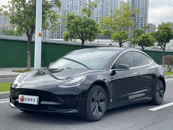 Tesla Model 3 2020