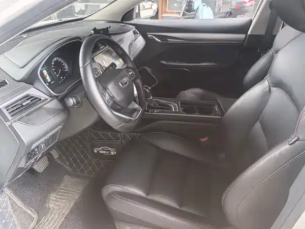 Geely Binrui 2020