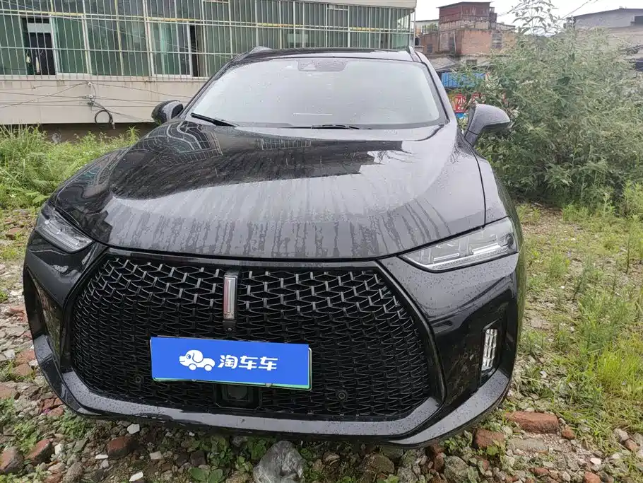Wey P8 2019