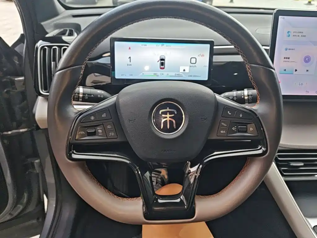 BYD Song Pro New Energy 2024 — фото 11