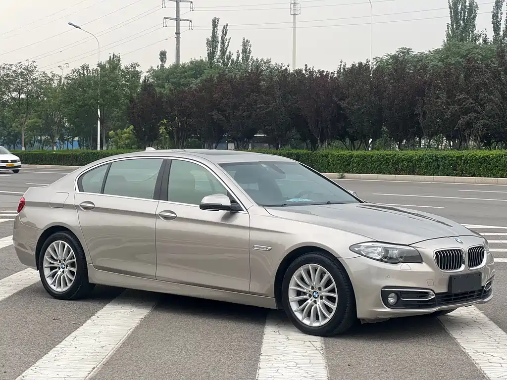 BMW 5 Series 2015