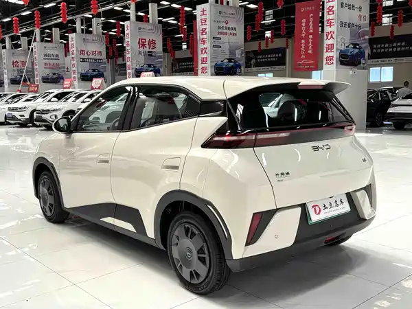 BYD Seagull 2026