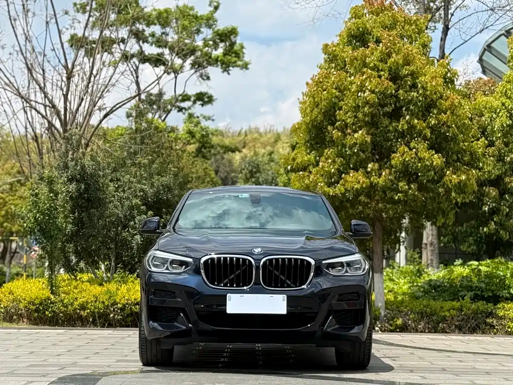 BMW X4 2019 — фото 2