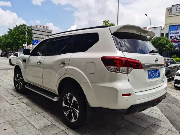 Dongfeng Paladin 2024