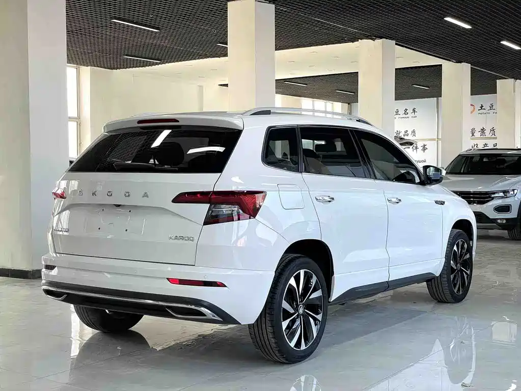 Skoda Karoq 2022 — фото 6
