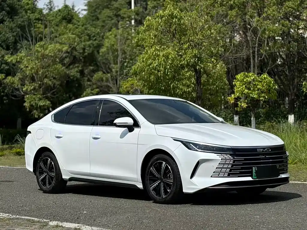 BYD Destroyer 05 2023 — фото 3