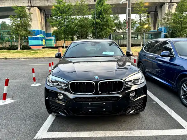 BMW X6 2018