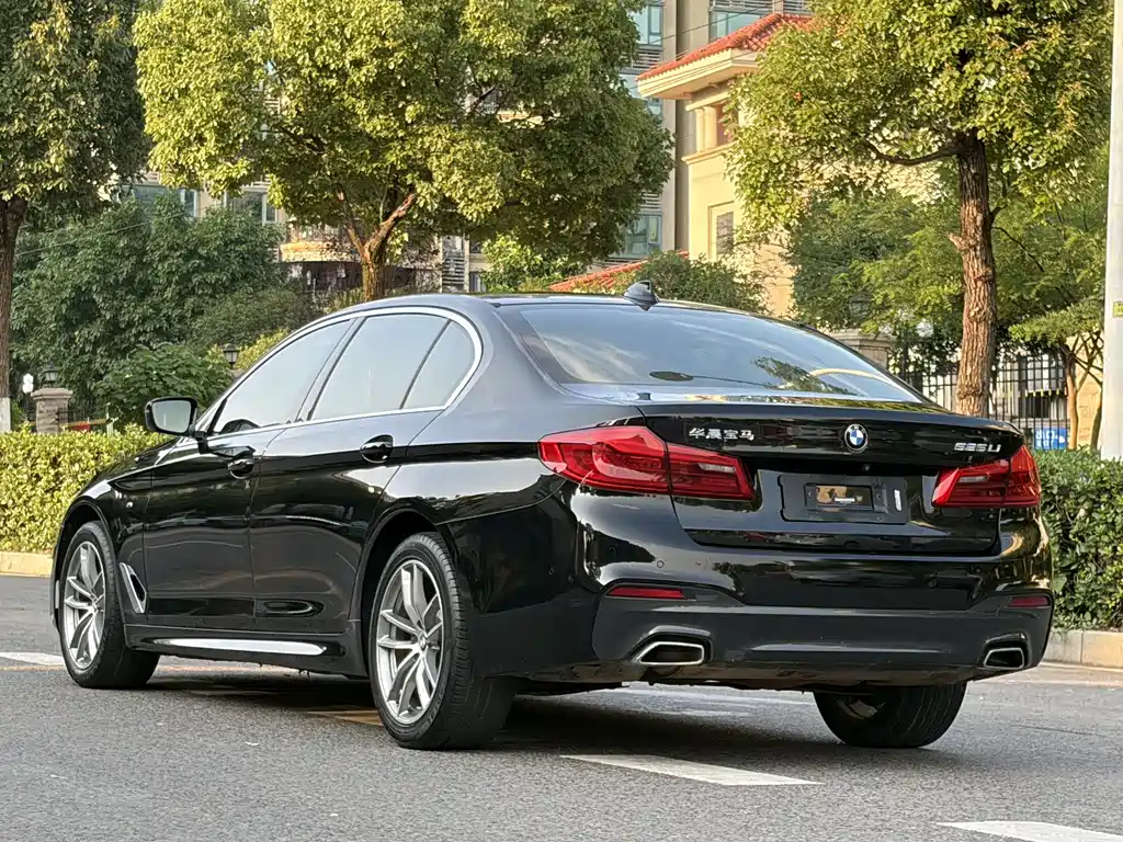 BMW 5 Series 2020 — фото 13