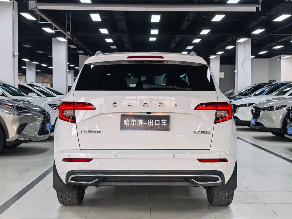 Skoda Karoq 2022 — фото 21