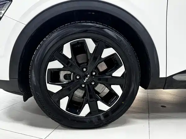Kia Lion Platinum Expands The Boundary 2023