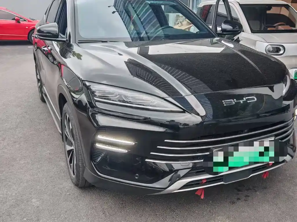 BYD PLUS New Energy 2024 — фото 6
