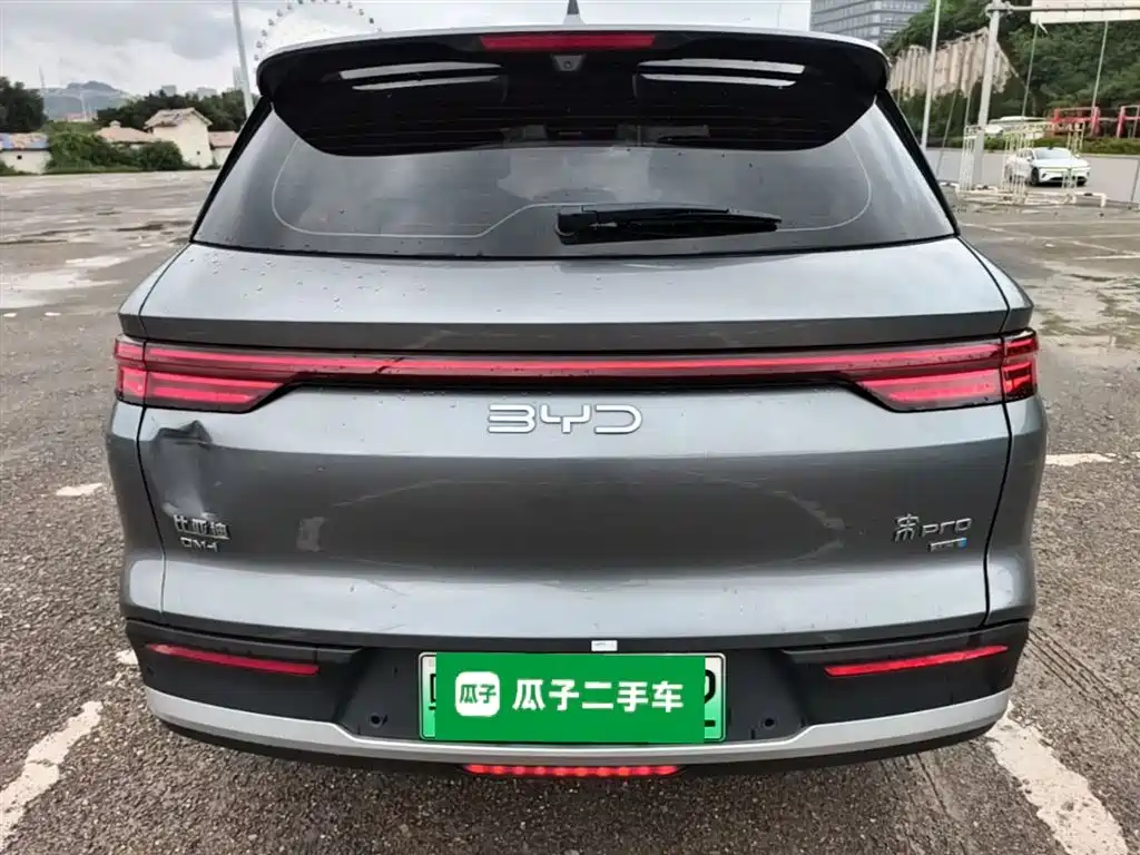 BYD Pro New Energy 2025 — фото 6