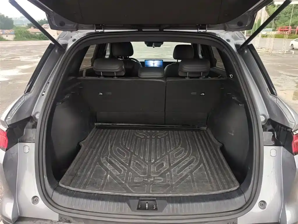 BYD Pro New Energy 2025 — фото 19