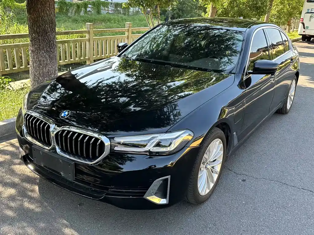 BMW 5 Series New Energy 2021 — фото 1