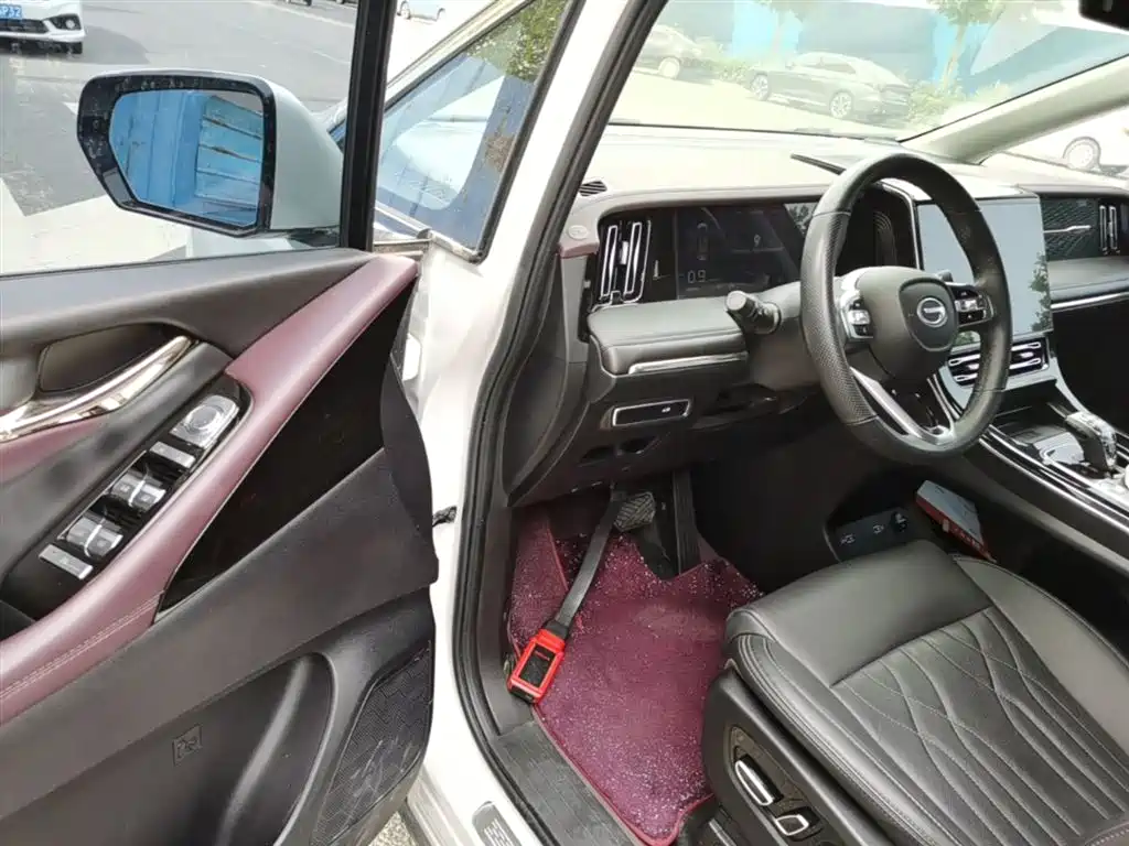 GAC Motor Trumpchi M8 2024 — фото 16