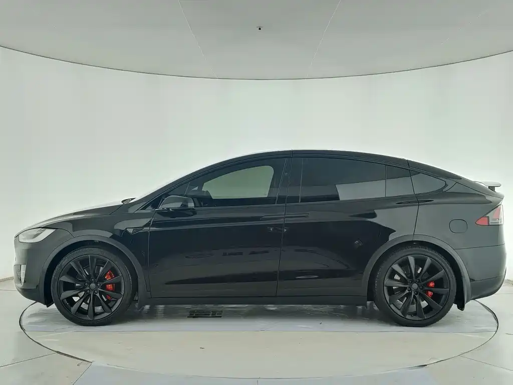 Tesla Model X 2019 — фото 12