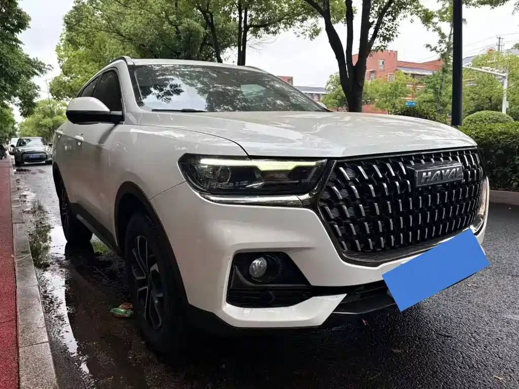 Haval H6 2024 — фото 15