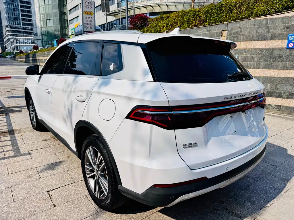 BYD Pro 2020 — фото 12