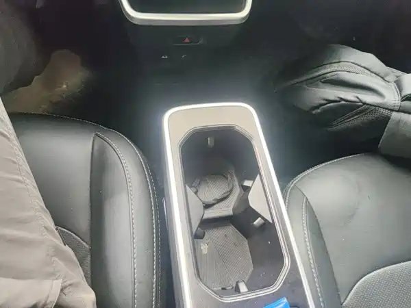 Neta V 2023