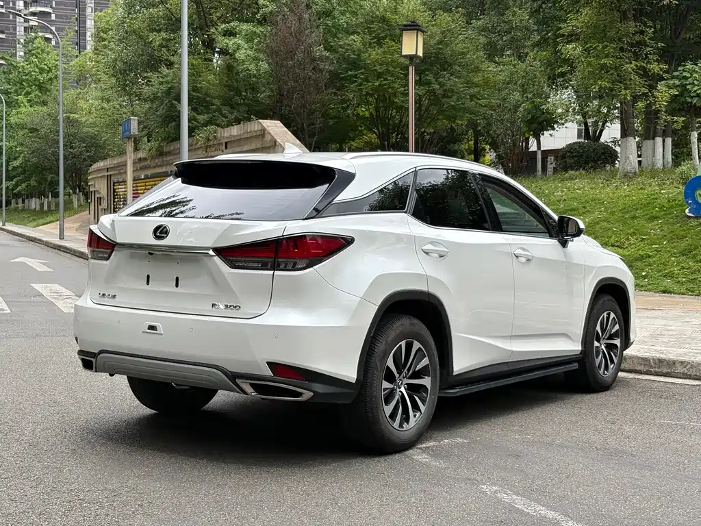Lexus RX 2022 — фото 16