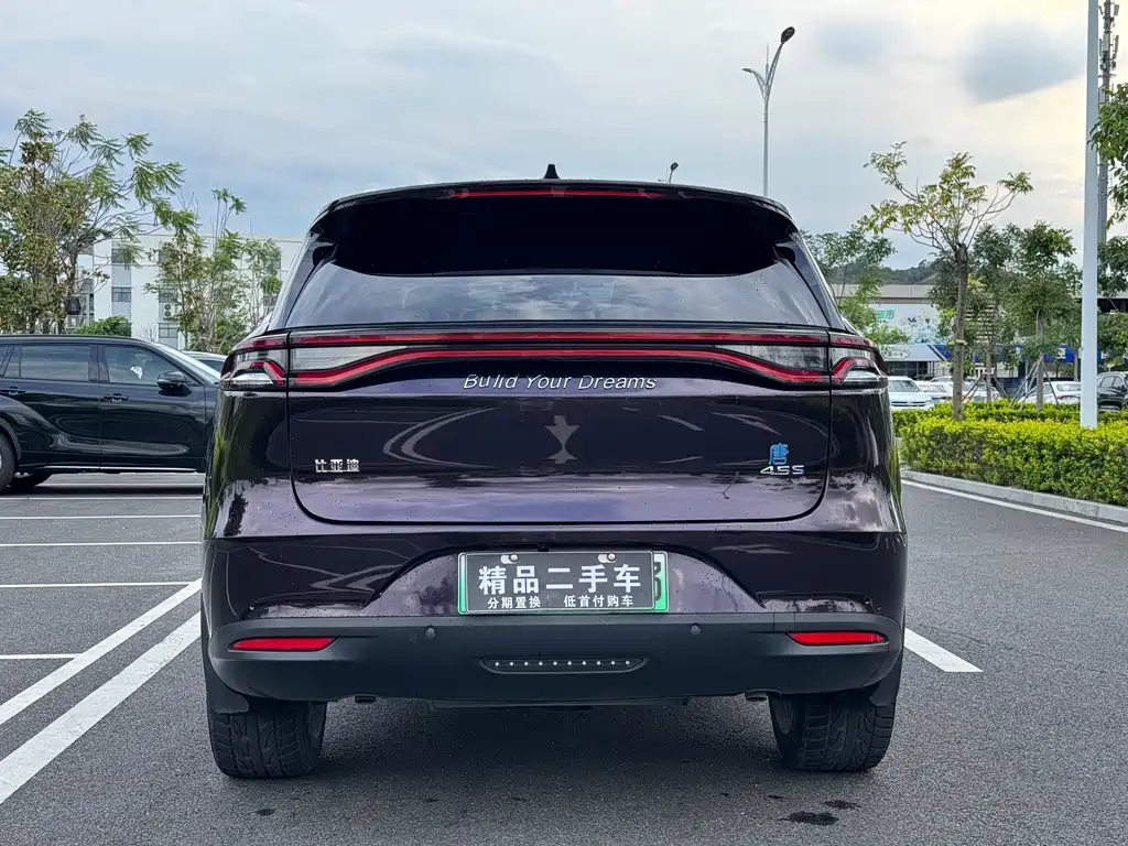BYD Tang New Energy 2019 — фото 6