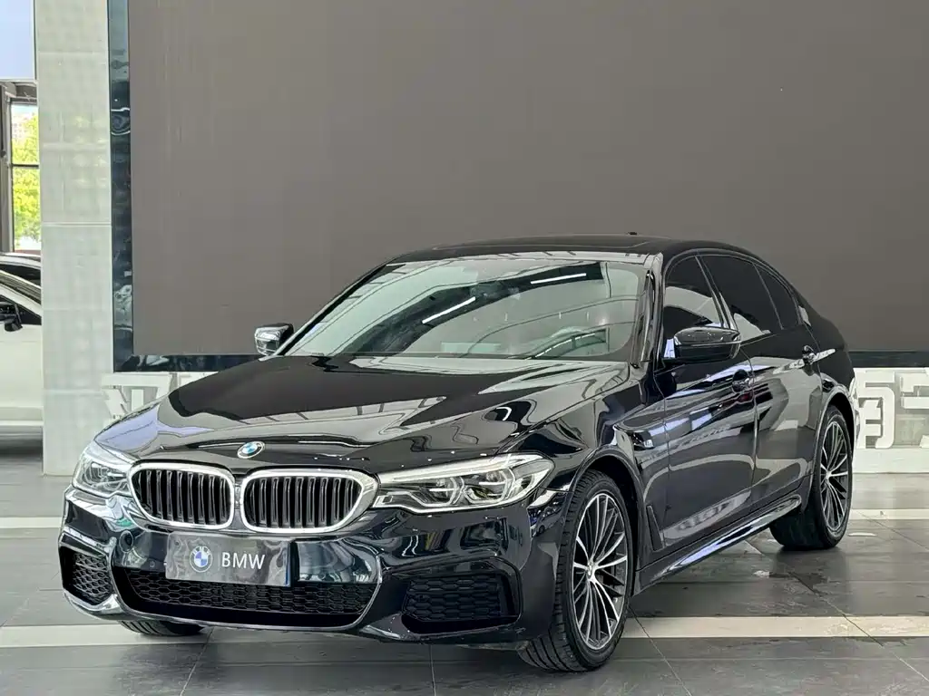 BMW 5 Series 2019
