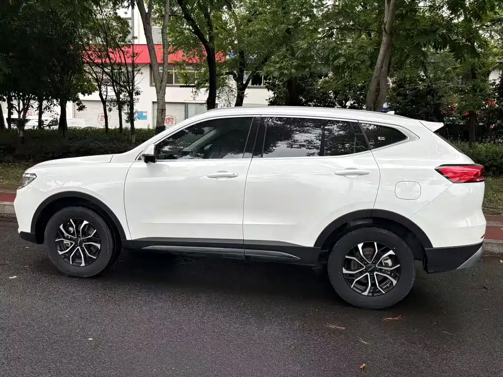 Haval H6 2024 — фото 12