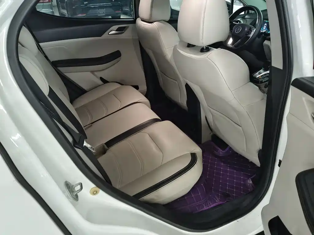 BYD Yuan Pro 2022