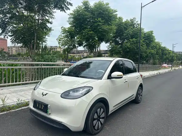 Wuling Bingo 2023