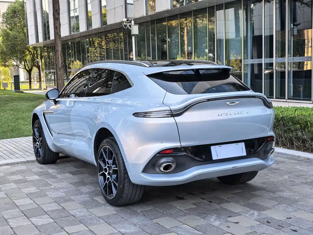 Aston Martin DBX 2022 — фото 48