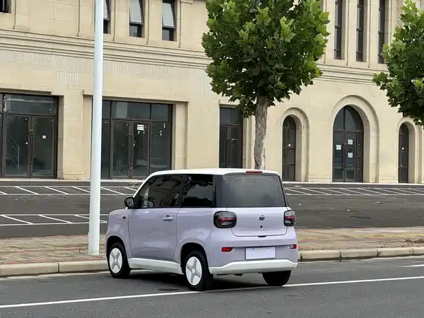 Zhidou Rainbow 2025