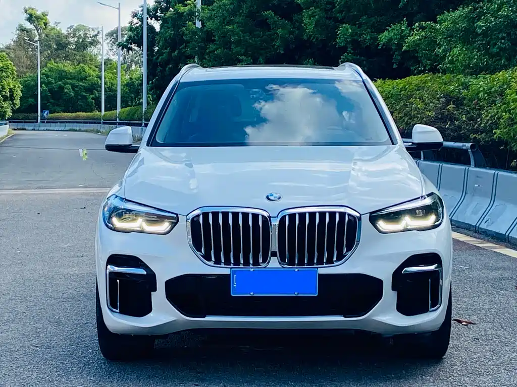 BMW X5 2022 — фото 2