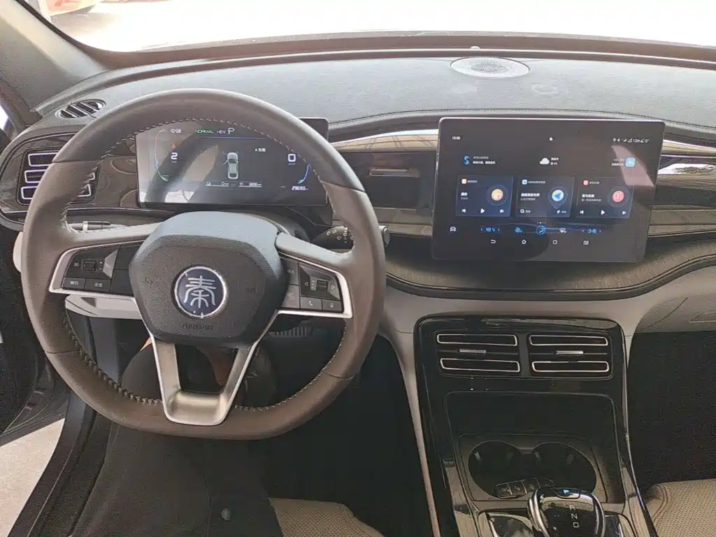 BYD Qin PLUS 2024 — фото 10