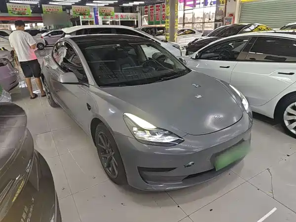 Tesla Model 3 2021