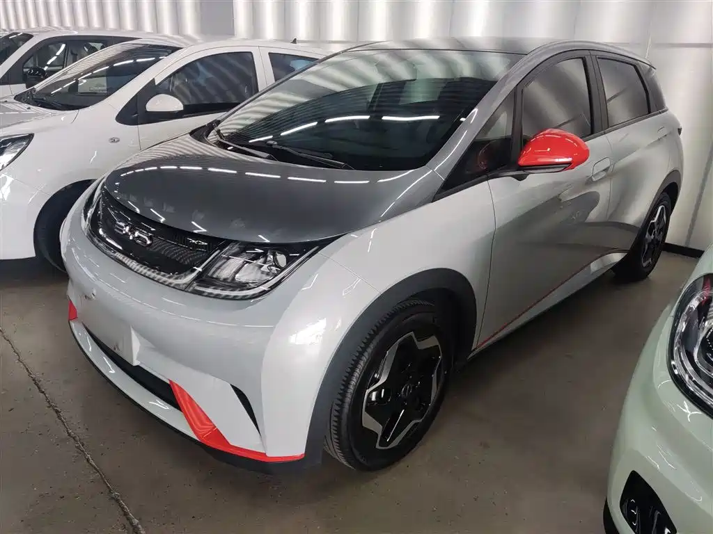 BYD Dolphin 2021