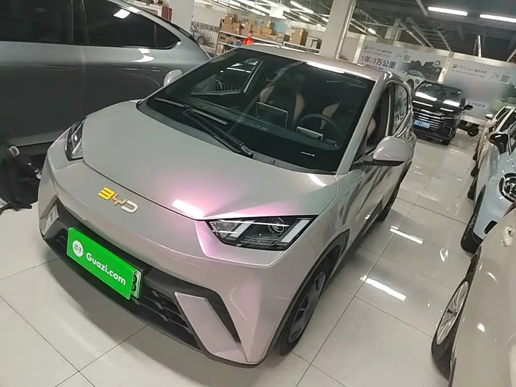 BYD Seagull 2024