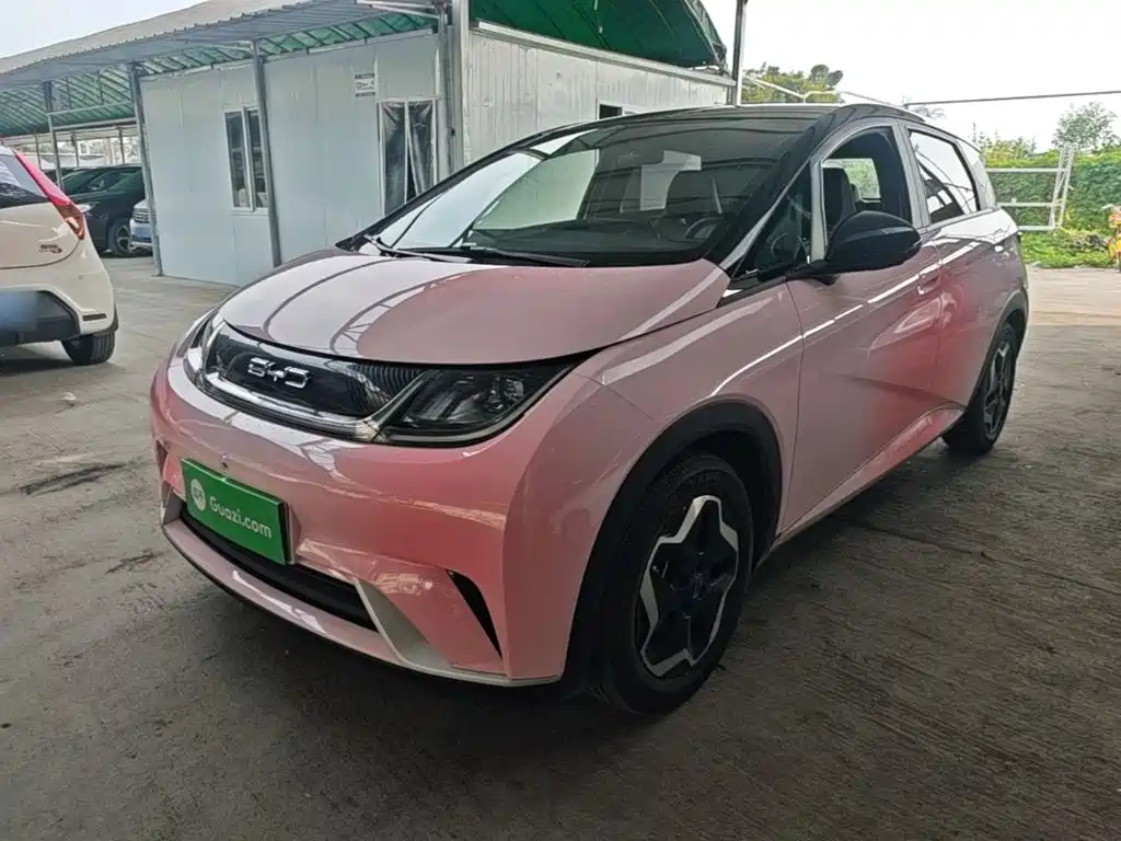 BYD Dolphin 2022