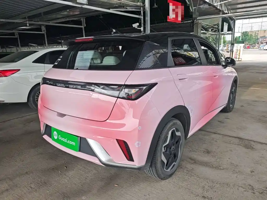 BYD Dolphin 2022