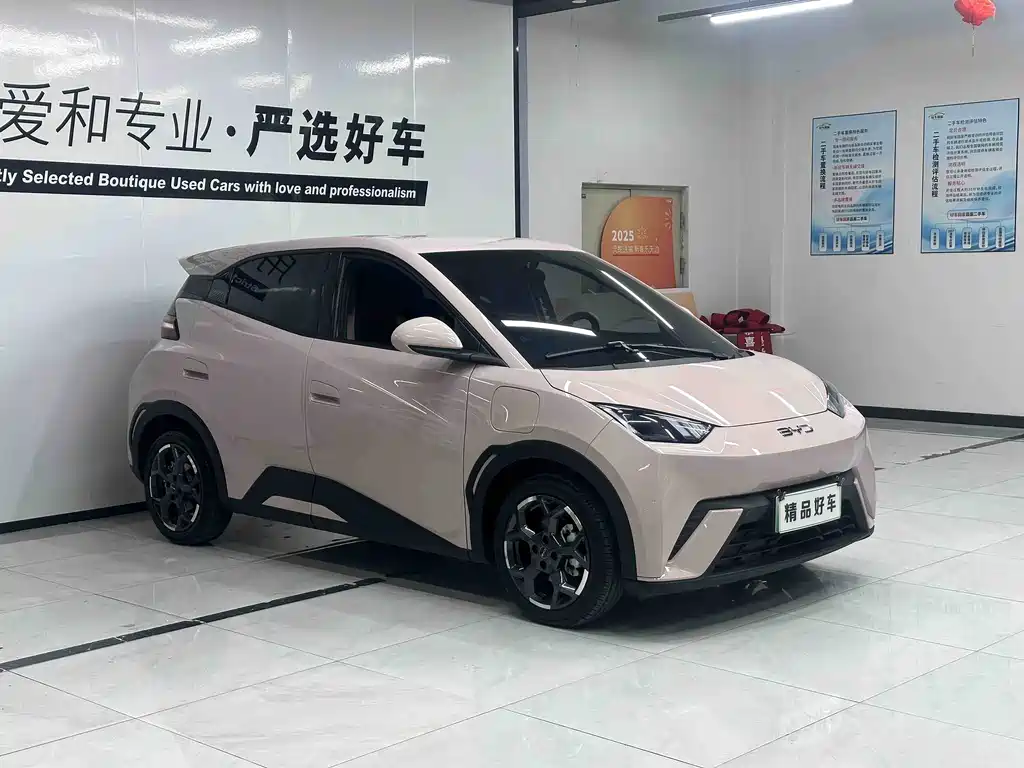 BYD Seagull 2024