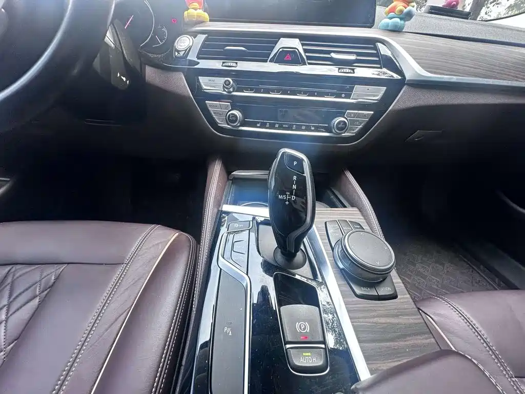 BMW 5 Series 2018 — фото 9