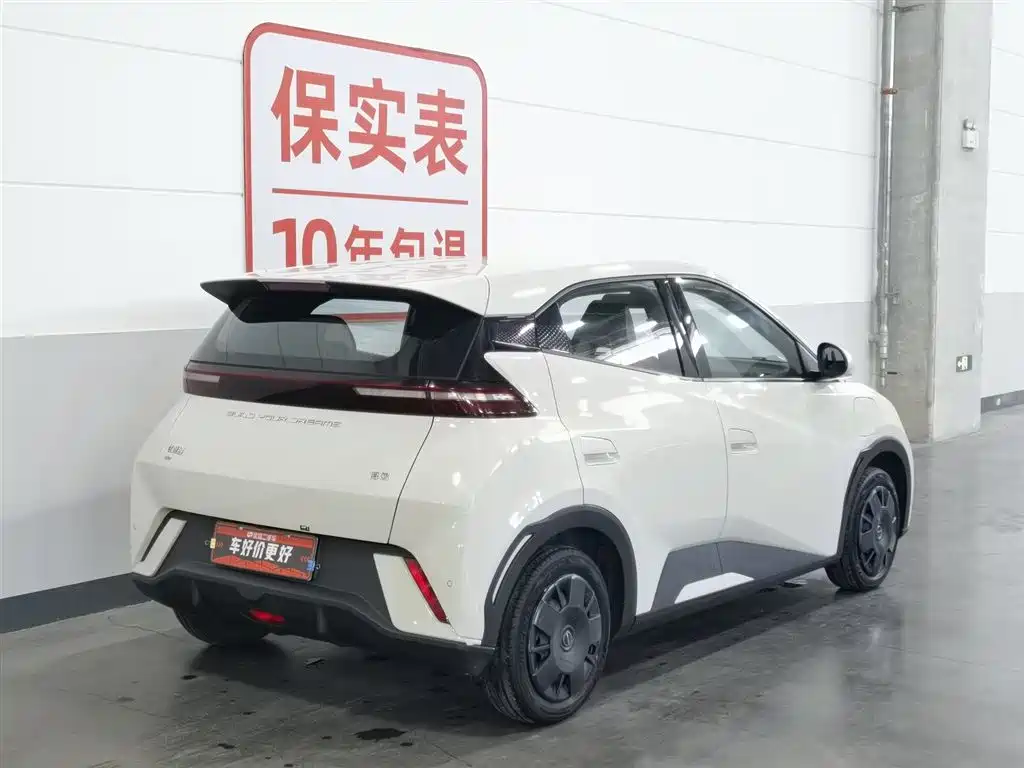 BYD Seagull 2024