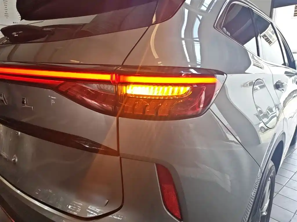 Haval H6 New Energy 2023 — фото 8