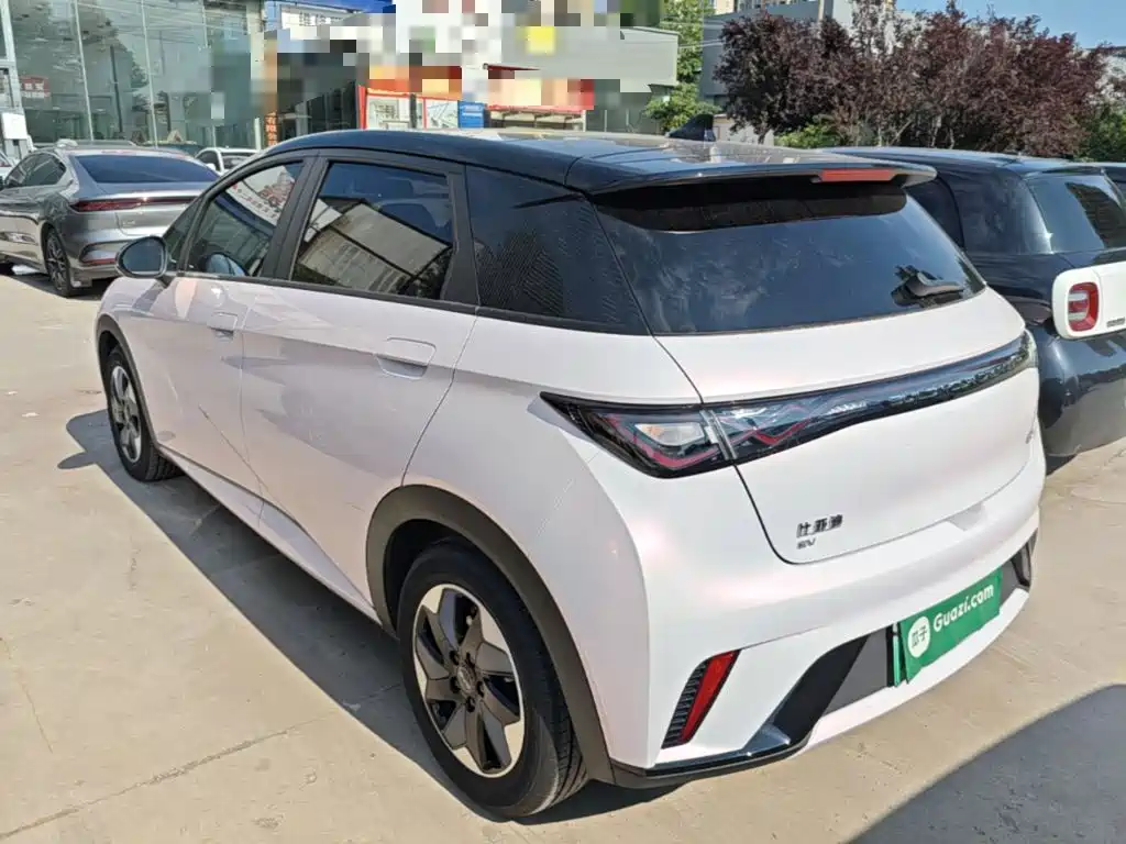 BYD Dolphin 2024