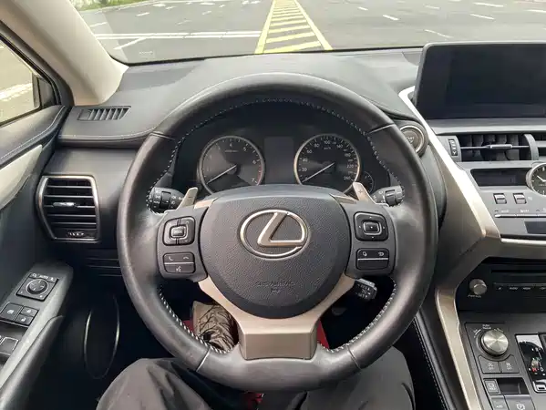 Lexus NX 2020